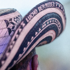 Fotografía Vallenato al Parque 2024